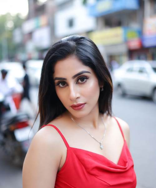 Ahmedabad Escort Service